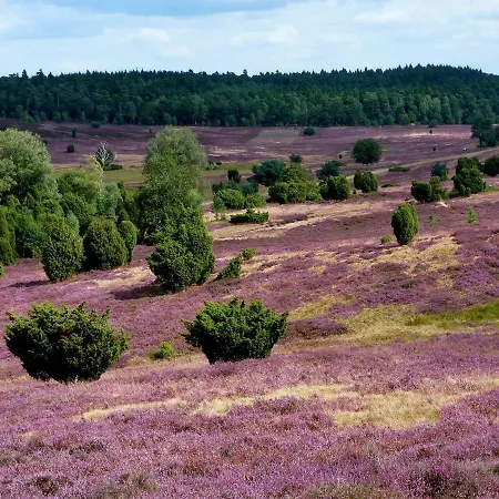 Bosboerderij De Goudsberg Met Hottub In Tuin 別荘