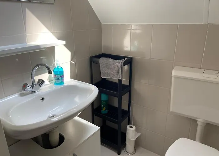 Vakantiehuis Bosboerderij De Goudsberg Met Hottub In Tuin *