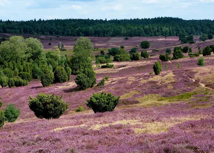 Bosboerderij De Goudsberg Met Hottub In Tuin Vakantiehuis