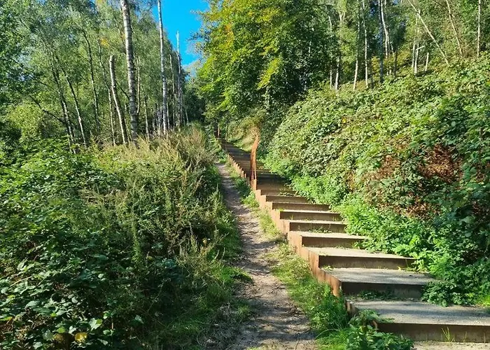 Bosboerderij De Goudsberg Met Hottub In Tuin Vakantiehuis Lunteren