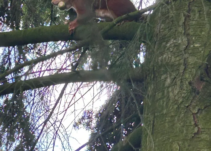 Bosboerderij De Goudsberg Met Hottub In Tuin *